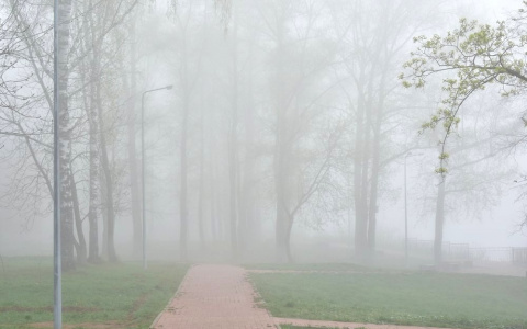 Утром в среду Киров накрыл радиационный туман