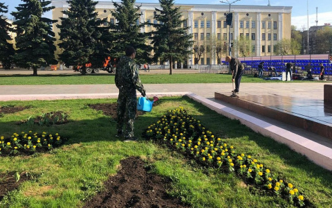 К 9 Мая в Кирове высадили 4500 цветов