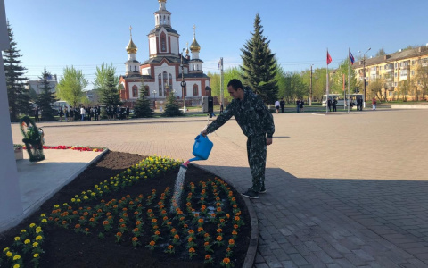 В Кирове высадили 4500 цветов