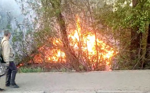 В центре Кирова сгорел деревянный дом