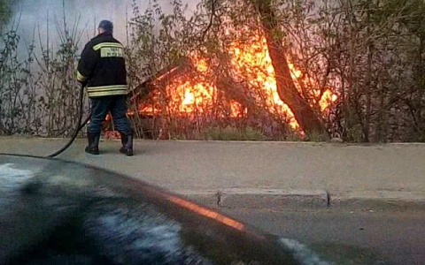 В МЧС рассказали, сколько пожаров произошло в Кировской области за минувшие сутки