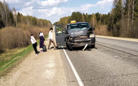 В Кировской области лось на дороге спровоцировал ДТП: среди пострадавших ребенок
