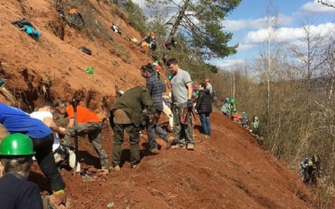 В Кировскую область на раскопки приехали палеонтологи из Москвы