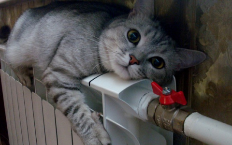 Власти подвели итоги отопительного сезона в Кировской области