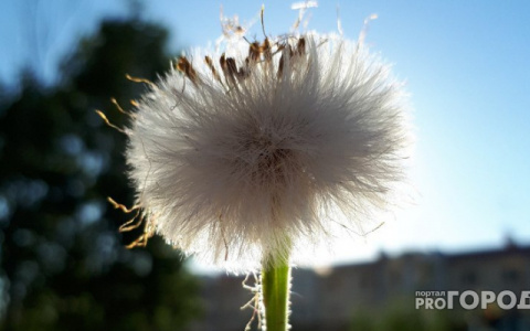 «Ливни в июле и сухой август»: появился обзор погоды на лето-2019 в Кировской области