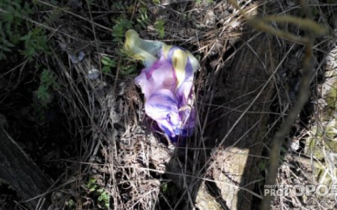 Полицейские просят помочь с поисками матери младенца, тело которого нашли в Кирове