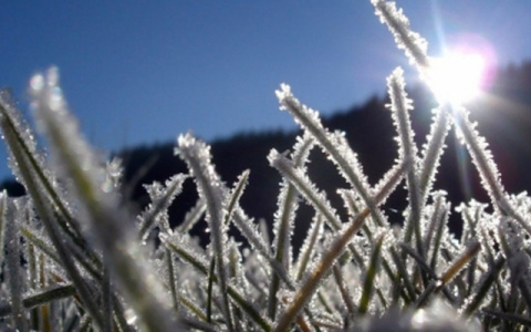 Из-за заморозков в Кировской области объявлено метеопредупреждение