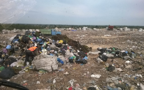 В Кировской области планируют возобновить работу семи закрытых свалок