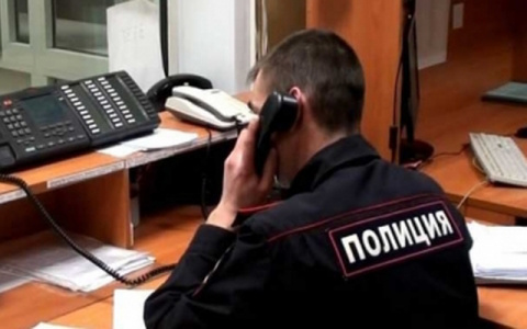 Кировчанам обещают деньги за информацию о смерти новорожденного в Зубаревском лесу
