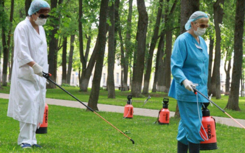 В Кирове внепланово обработают парки и скверы от клещей