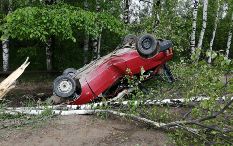 В Коминтерне «восьмерка» влетела в дерево и опрокинулась: есть пострадавшие