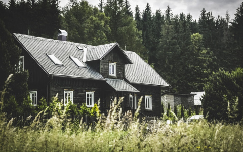 Все на дачу! Какая умная техника сделает загородную жизнь комфортной?