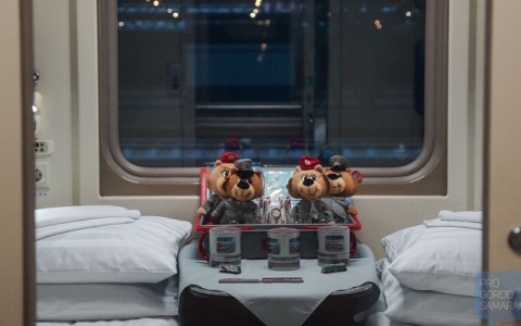 Многодетные семьи смогут купить билеты на поезд с большой скидкой