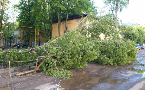 Фоторепортаж из соцсетей: ураган и град в Кировской области