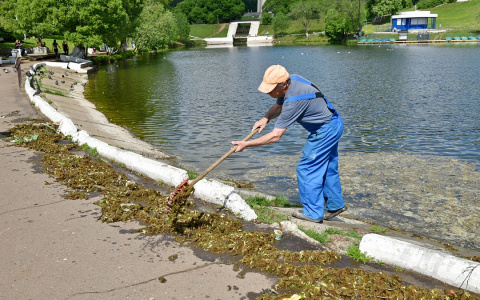 В Кирове пруд у Диорамы очистят с помощью микроорганизмов