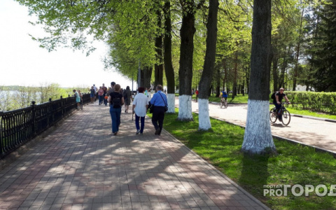 Впервые за последние 4 года июнь в Кирове будет теплым