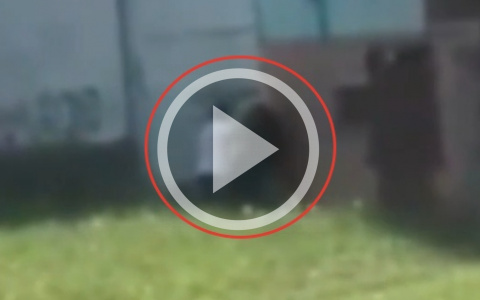 Опубликовано видео с места убийства на Ульяновской