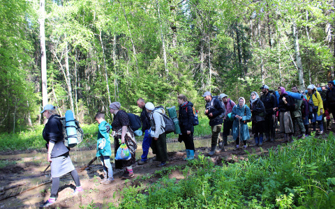 Что обсуждают в Кирове утром: самый длинный день крестного хода и самые дурнопахнущие районы города