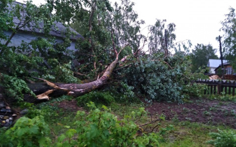 В поселке Кировской области могут ввести режим ЧС из-за грозы