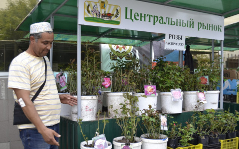 Кировским садоводам предложили места торговли на рынках за 25 рублей