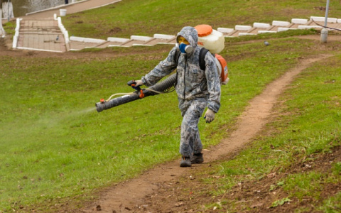 Кировские парки повторно обработали от клещей к Дню города