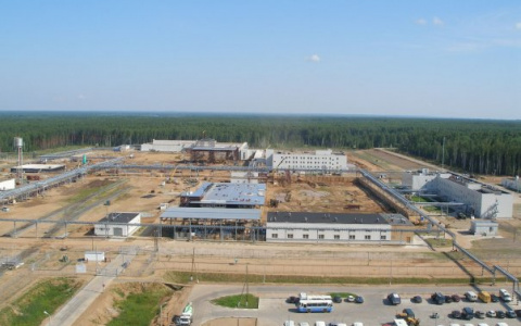 Завод в Марадыково: что известно о стройке, против которой выступают 48 тысяч человек