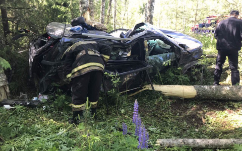 В Кировской области кроссовер вылетел в кювет: пострадали двое детей