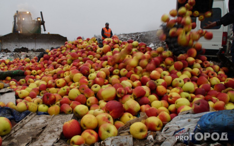 В Кирове раздавили 315 килограммов яблок