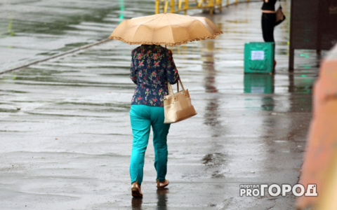 Обильные ливни и сильные ветра: обзор погоды на июль от народного синоптика