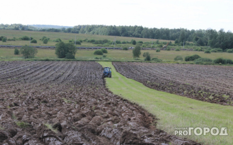 В трех районах Кировской области объявлен режим ЧС из-за гибели урожая