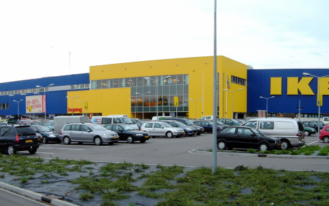 "IKEA" хочет увеличить инвестиции в Кировскую область