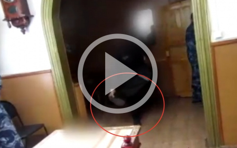 В Кировской области осужденный получит еще 5 лет за брошенный в сотрудника ботинок