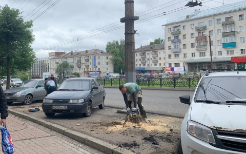 Фото дня: на Октябрьском проспекте в Кирове спиливают деревья для парковки