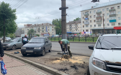 Проверка после публикации: деревья на Октябрьском проспекте вырубили незаконно