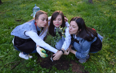 В парке Победы появилась новая аллея, посаженная горожанами