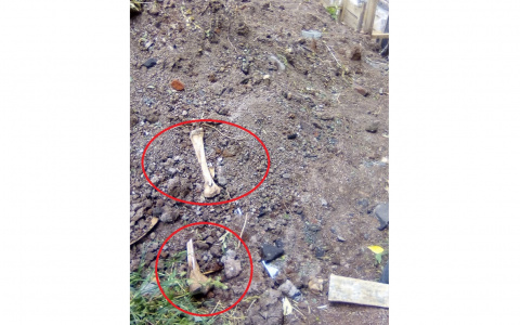 «Слышали стук, открывали, а за дверью никого не было»: кировчанка о своем доме на костях