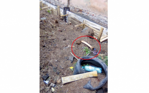 Что обсуждают в Кирове: дом на костях и задержание экс-чиновника за взятку