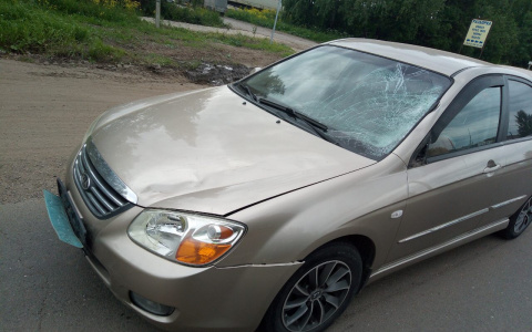 В Кирове проведут «прямую линию» из-за количества ДТП в регионе