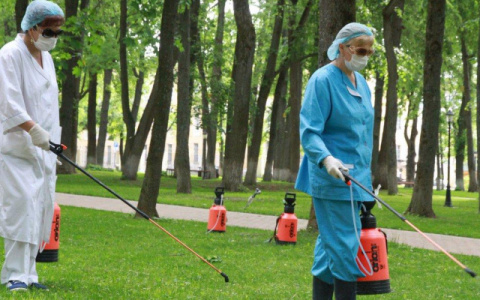 В Кировской области жителей стали чаще кусать клещи