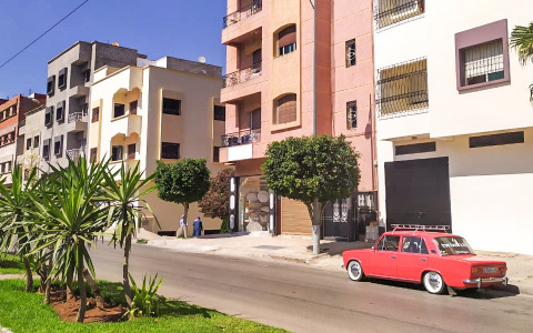 Что обсуждают: детей, выживших в лесу, и пару, которая доехала до Африки