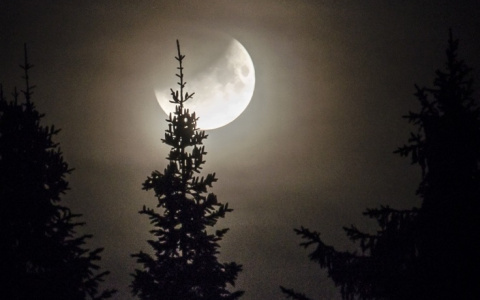 10 ярких фото лунного затмения в Кировской области