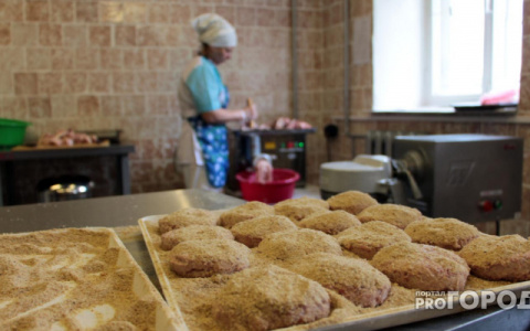 В Кировской области нашли 460 килограммов опасного мяса