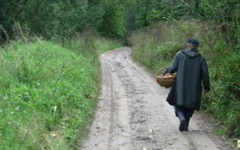 В Кировской области пропавшего грибника нашли спустя пять дней