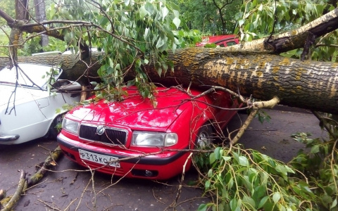 В Кирове МЧС объявило метеопредупреждение
