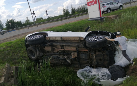 Что обсуждают: чума свиней и ДТП у автосалона