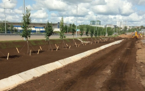 Фото дня: вдоль путепровода в Чистых прудах начали высаживать деревья