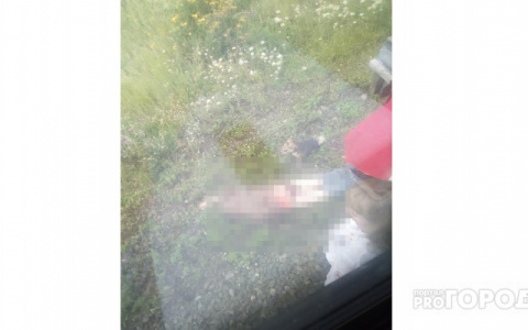 Попрощалась с родными и ушла: появились подробности гибели кировчанки под поездом