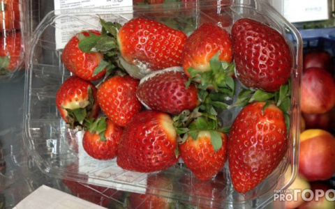 В Кировской области нашли более 800 килограммов опасных ягод и овощей