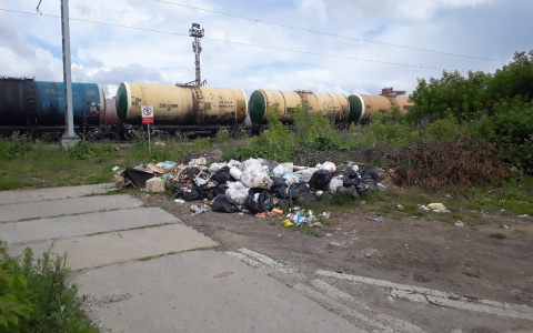 К проблеме мусора в Кировской области привлекут специалистов из Германии