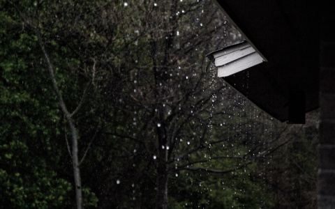 Синоптики обещают дождливые и холодные выходные в Кирове